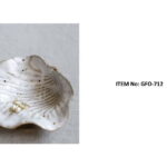 Presentation (2)_Page_48